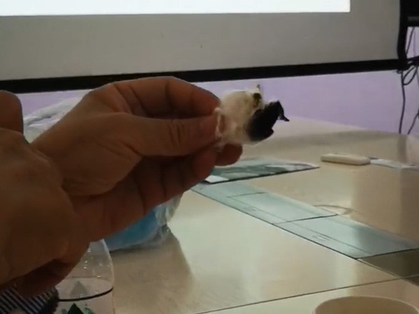 用數(shù)據(jù)說話，海藻纖維阻燃效果到底有多強(qiáng)！