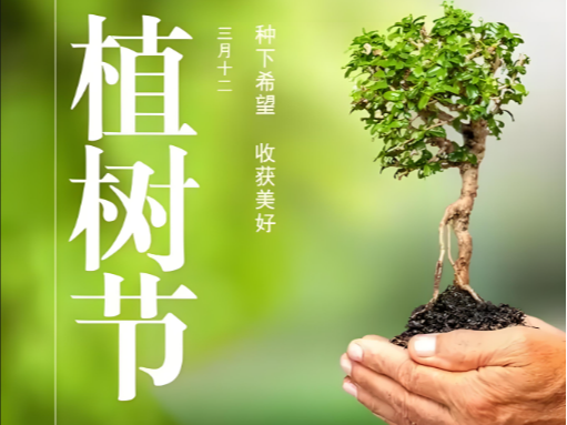 當(dāng)「海洋森林」遇見植樹節(jié)：以創(chuàng)新織就綠色未來